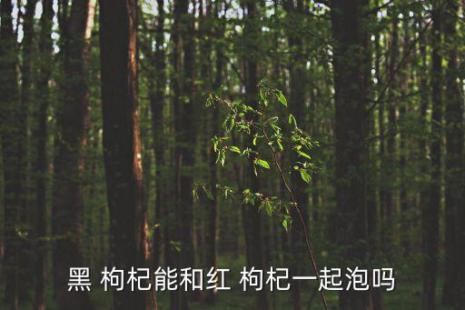 黑 枸杞能和紅 枸杞一起泡嗎