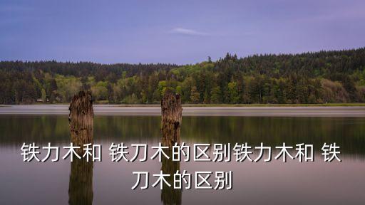 鐵力木和 鐵刀木的區(qū)別鐵力木和 鐵刀木的區(qū)別