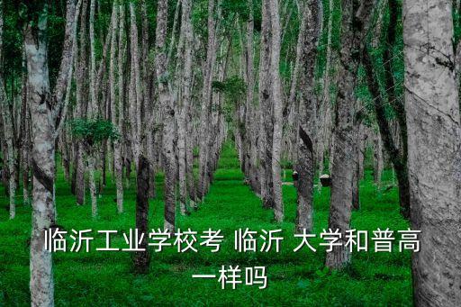 臨沂大學學工部,臨沂工業學校理學碩士課程設置與發展成果顯著