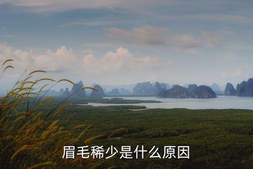 眉毛稀少，眉毛稀疏怎么辦