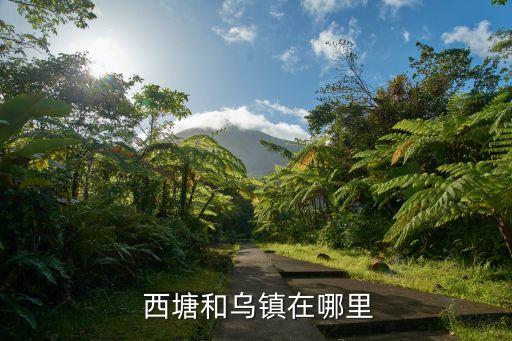 西塘在哪里,中國浙江嘉善縣西塘古鎮坐落于嘉善市區