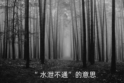 “ 水泄不通”的意思