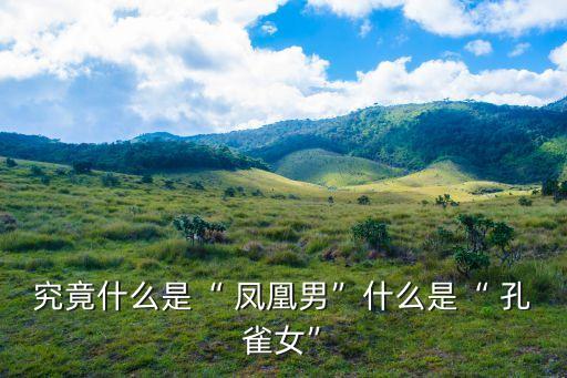 究竟什么是“ 鳳凰男”什么是“ 孔雀女”