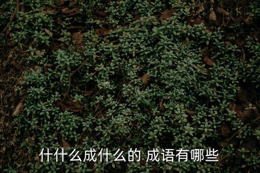 什么有成什么成語,成功與失敗之路