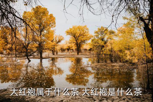 大紅袍茶葉，大紅袍是什么茶葉