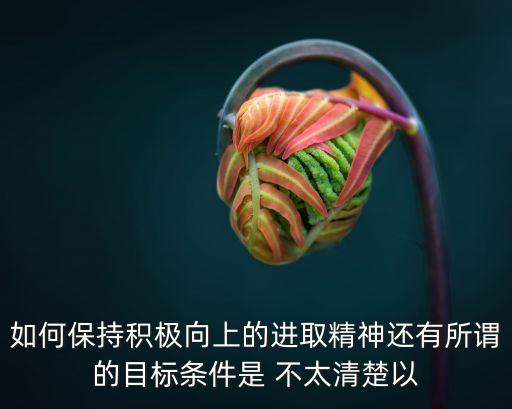 如何保持積極向上的進取精神還有所謂的目標條件是 不太清楚以
