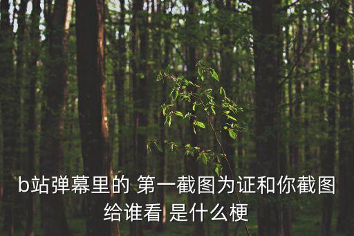 b站彈幕里的 第一截圖為證和你截圖給誰看 是什么梗