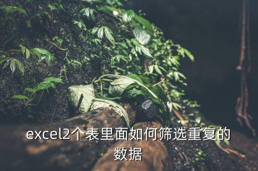 excel2個表里面如何篩選重復的數據