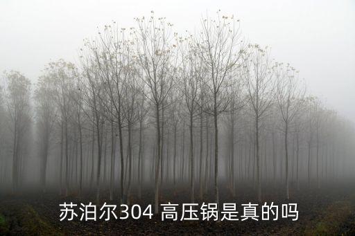 蘇泊爾高壓鍋,蘇泊爾304不銹鋼高壓鍋ys24ed出爐!