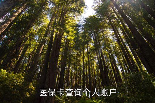 醫保卡查詢個人賬戶