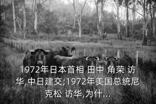 田中角榮訪華,尼克松訪華上海公告》開啟中美新篇章