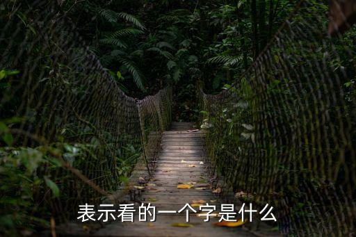 表示看的字有哪些,第二集:視與丑,看不見，看不夠