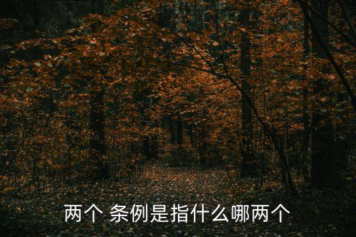 條例是什么,中國共產黨紀律處分條例制定依據和原則