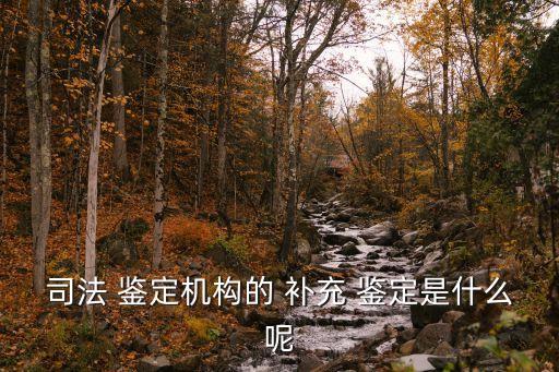 補充鑒定,委托人發現委托鑒定項遺漏可要求補充鑒定材料