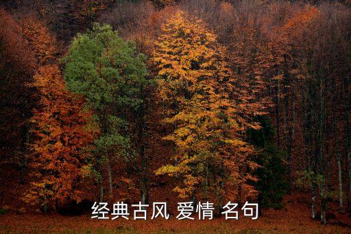 詩經愛情名句,執子之手，與子偕老成為古典名句