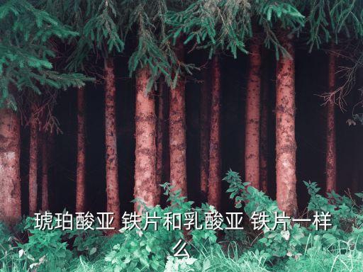 琥珀酸亞鐵片,含有二價鐵的琥珀酸a鐵片可溶于水中