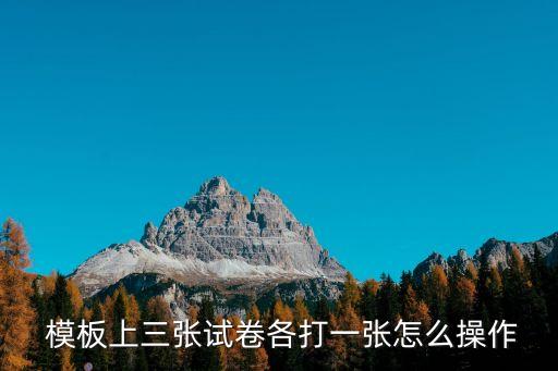  模板上三張?jiān)嚲砀鞔蛞粡堅(jiān)趺床僮? class=