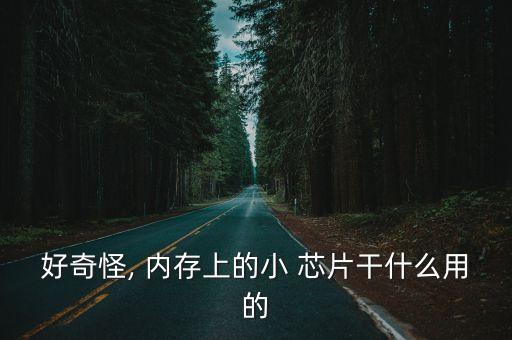 內存芯片,tid芯片1內存只有一塊很小