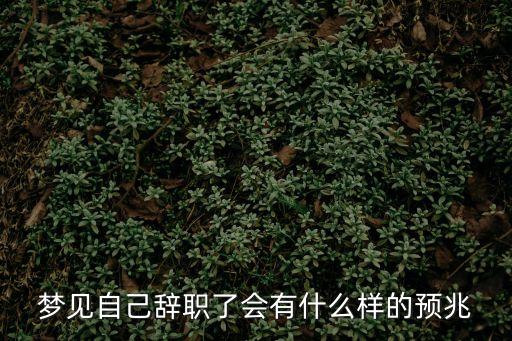 夢見自己辭職了會有什么樣的預兆