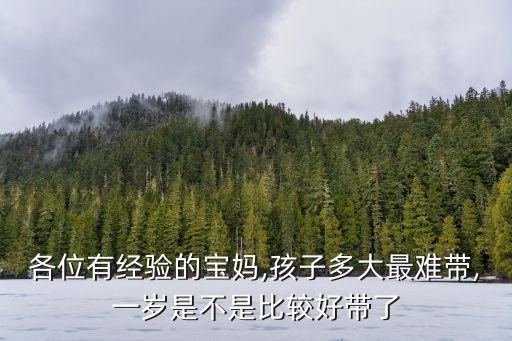 各位有經驗的寶媽,孩子多大最難帶,一歲是不是比較好帶了