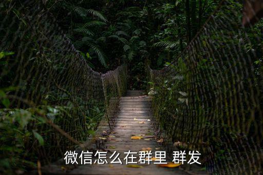  微信怎么在群里 群發