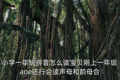 小學一年級語文拼音學習，小學一年級拼音怎么讀寶貝剛上一年級aoe還行會讀聲母和韻母合