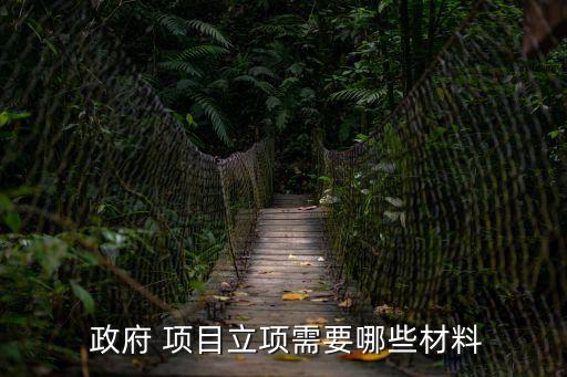 政府項目,政府support項目申報要求公布