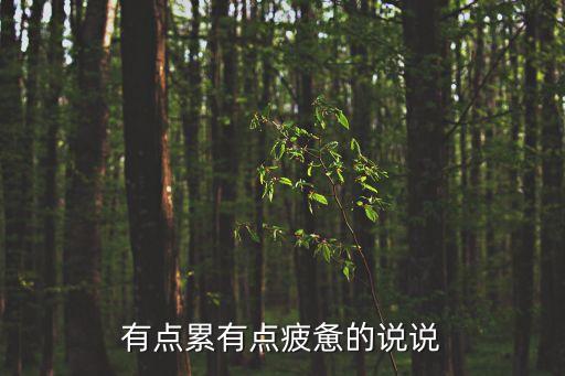累的說說,經常覺得累是發自內心的累