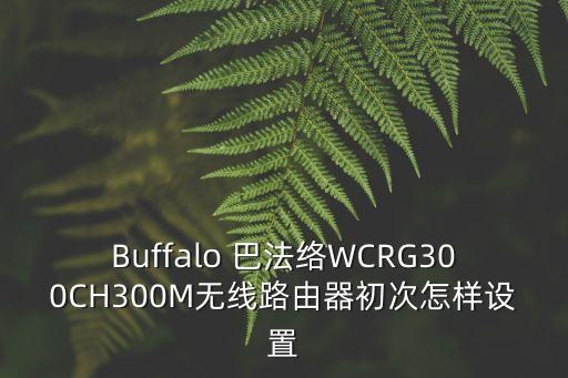 Buffalo 巴法絡(luò)WCRG300CH300M無線路由器初次怎樣設(shè)置