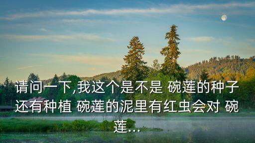 碗蓮圖片,網上賣blue碗蓮粉絲被騙原來是這回事