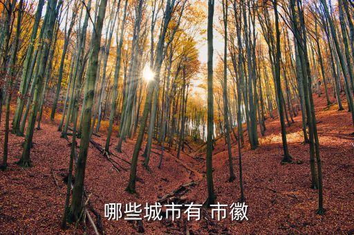 市徽,太原市徽以雙塔、雙字、煤層、火焰為特征