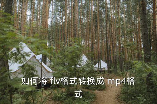 flv轉mp4,如何將flv格式轉換成mp4呢!