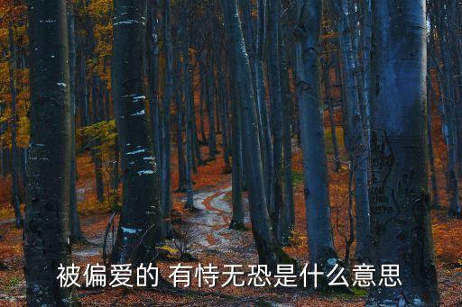 被偏愛(ài)的 有恃無(wú)恐是什么意思