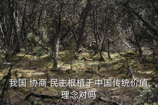 我國 協商 民主根植于中國傳統價值理念對嗎