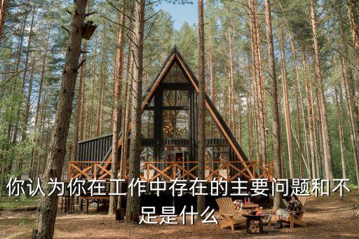 你認(rèn)為你在工作中存在的主要問題和不足是什么
