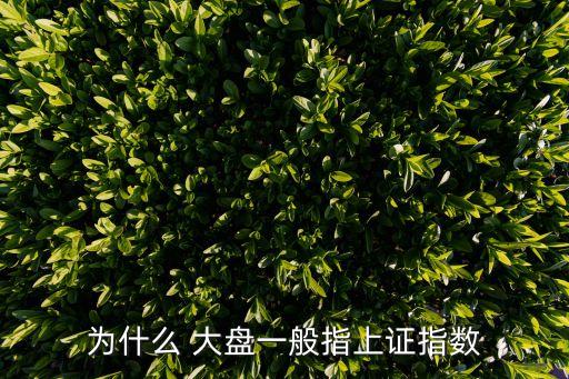 為什么 大盤一般指上證指數