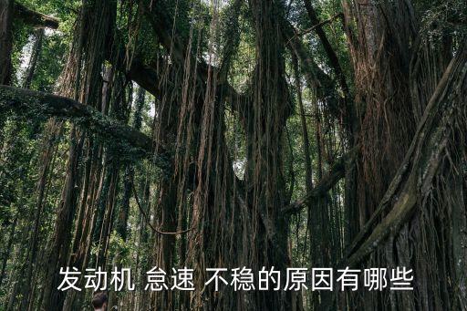發動機怠速不穩,automobile發動機怠速不穩六大原因