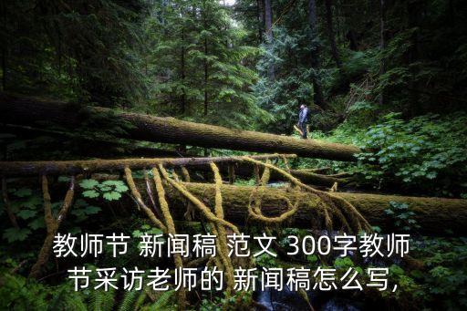 新聞稿范文300字,感恩老師的作文