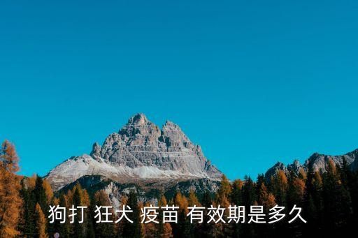 狂犬疫苗有效期,狗打疫苗2-3周后才能發展出應有抵抗力