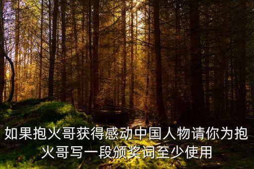 如果抱火哥獲得感動中國人物請你為抱火哥寫一段頒獎詞至少使用