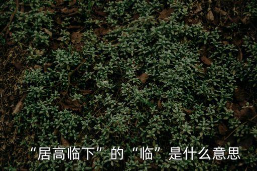 “居高臨下”的“臨”是什么意思