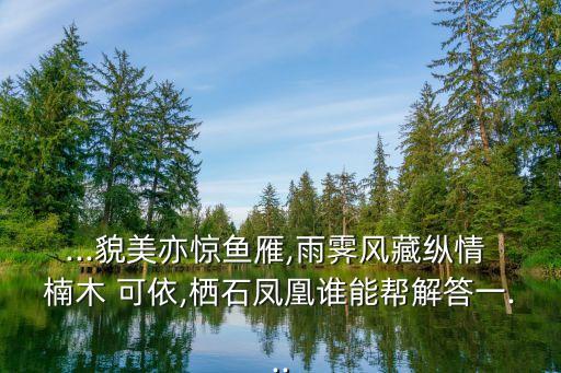 ...貌美亦驚魚雁,雨霽風藏縱情 楠木 可依,棲石鳳凰誰能幫解答一...