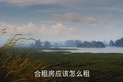 合租房子,未經房東同意轉租或分租都是違法行為