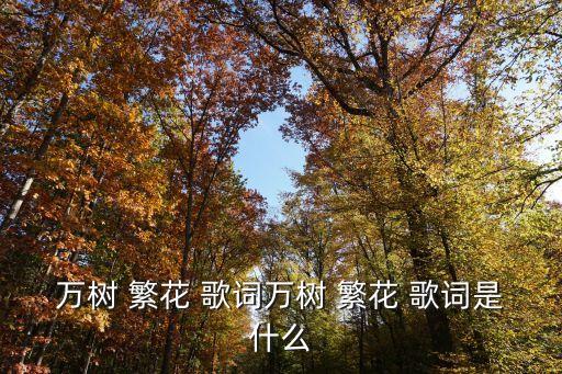 繁花歌詞,第二集:點金山下的金花