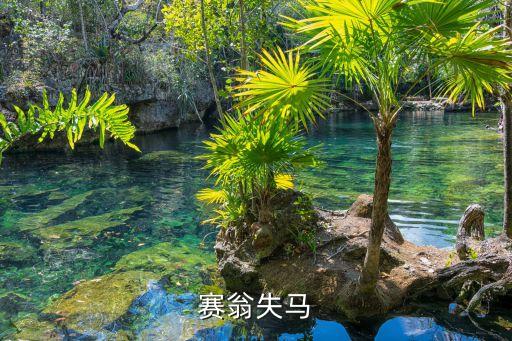 塞翁失馬，塞翁失馬是什么意思