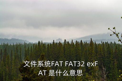 文件系統(tǒng)FAT FAT32 exFAT 是什么意思