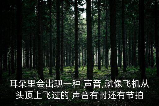 耳朵里會出現一種 聲音,就像飛機從頭頂上飛過的 聲音有時還有節拍