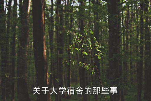 關(guān)于大學(xué)宿舍的那些事