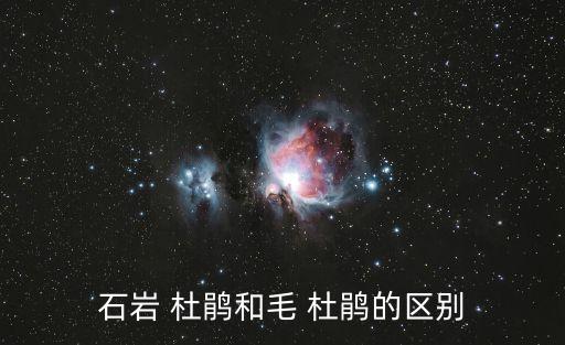 毛杜鵑,十堰杜鵑和石杜鵑的區別