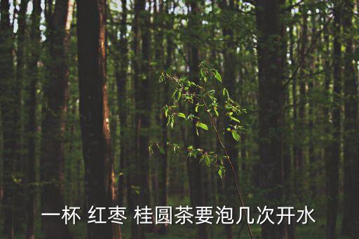 一杯 紅棗 桂圓茶要泡幾次開水